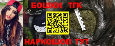 индика Будённовск