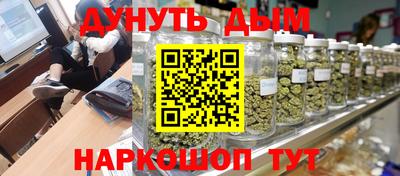 индика Будённовск