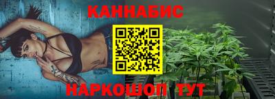 индика Будённовск