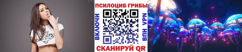 закладка Буйнакск Галлюциногенные грибы GOLDEN TEACHER