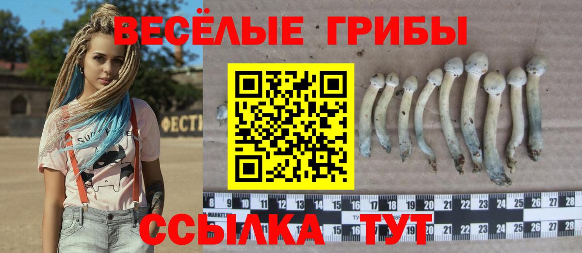 Псилоцибиновые грибы ЛСД Буйнакск