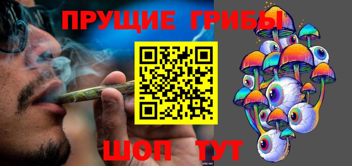 Галлюциногенные грибы Cubensis  Буйнакск 