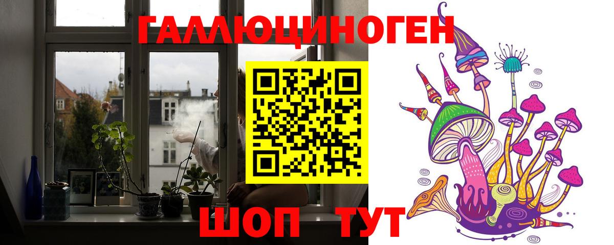 Буйнакск  Псилоцибиновые грибы Cubensis  Вход с VPN 